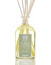 Fig Leaf Collection - Antica Farmacista